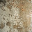 Particolare della vecchia parete